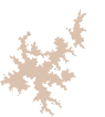 Margirita